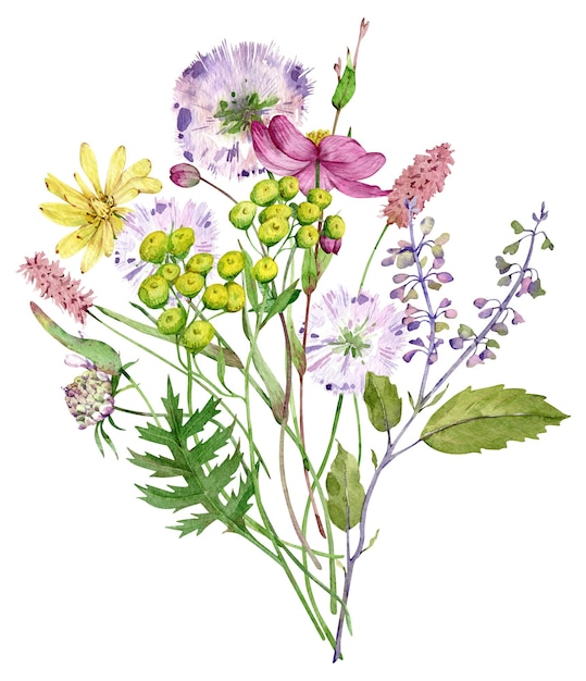 Watercolor wildflowers bouquet Beautiful meadow flowers bunch Floral arrangement