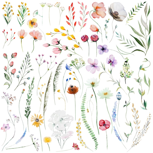 watercolor wildflowers and leaves illustration set wedding and greeting elements