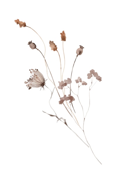 Watercolor Winter Bouquet of Poppy Pods and Dried Herbs