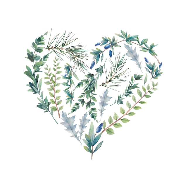 수채화 겨울 식물 마음입니다. 손으로 그린 꽃 그림 흰색 배경에 고립입니다. 자연적인 그래픽 라벨 : 심장 실루엣 나뭇잎과 나뭇 가지로 구성