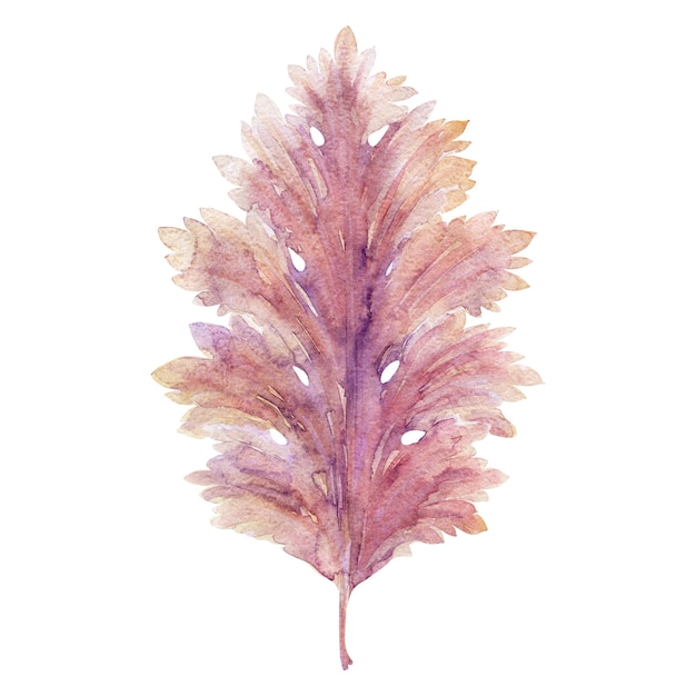 Watercolor  with stylized acanthus leaves