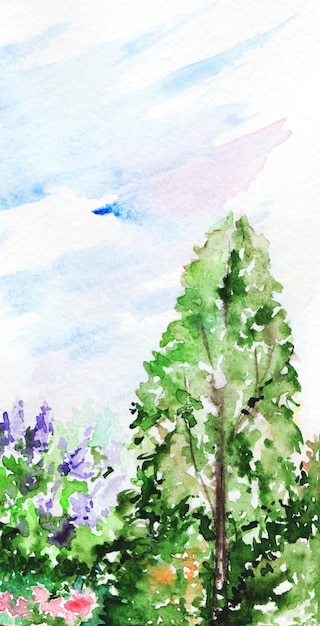 Watercolor wood forest garden trees flowers nature