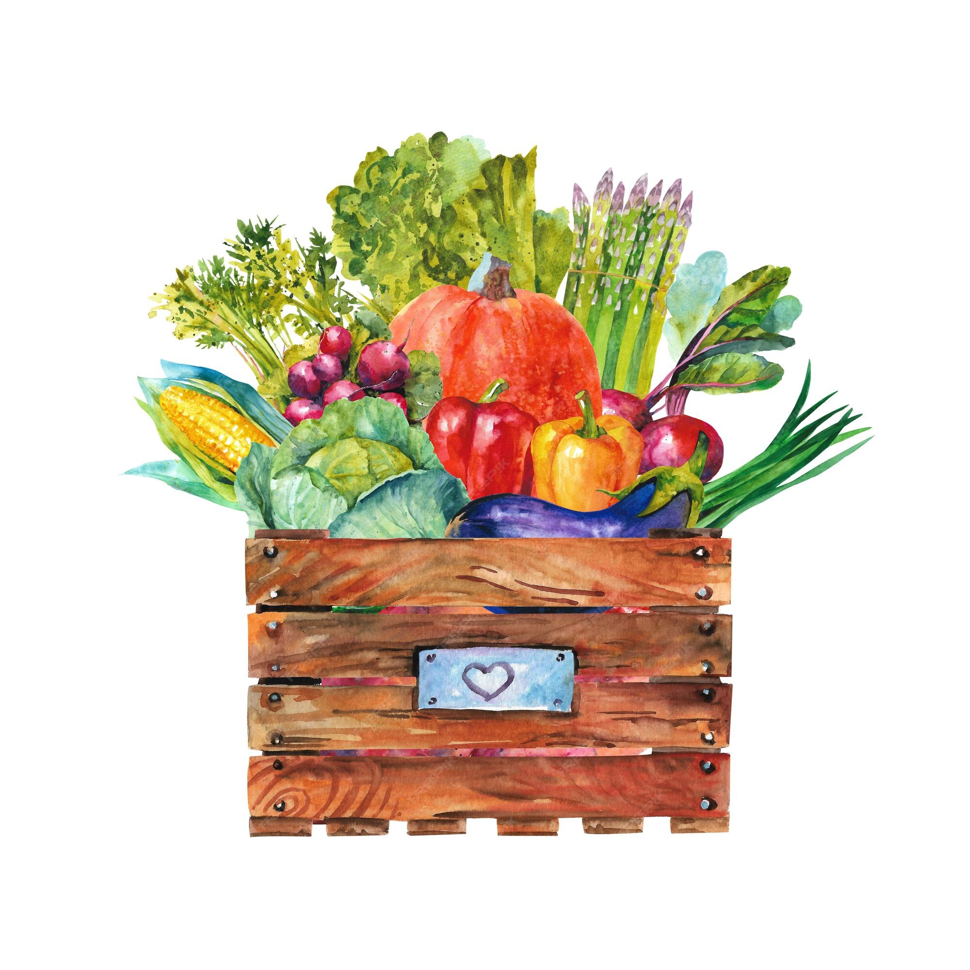 76 Ilustrações de Vegetable Crate - Getty Images