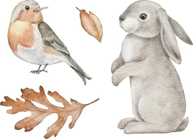 Watercolor woodland design element Handdrawing animals leaves Bird rabbit