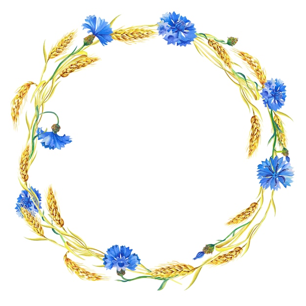 Corona dell'acquerello di fiordalisi blu, spighe di grano maturo. bella cornice luminosa con fiori blu, foglie verdi.