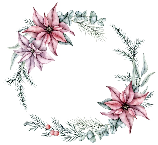 Watercolor wreath of red poinsettia flower eucalyptus spruce branch and rosemary twigs with red berr