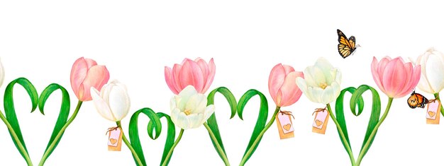 Watercolour drawn seamless border from beautiful pink and white tulip flowers with heartshaped