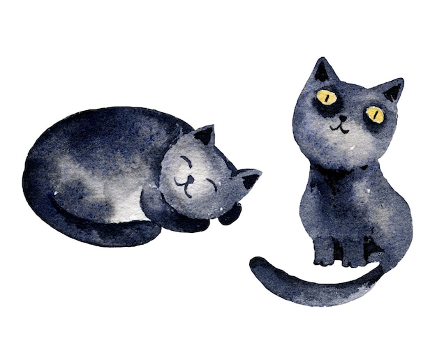 Watercolour illustration with black cats two hand dawn cats cute cartoon kitty sketch