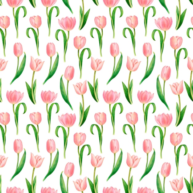 Watercolour painted square pattern with opened flowers and buds of pink tulips detached stems White background picture is skillfully made for textile printing cards banners