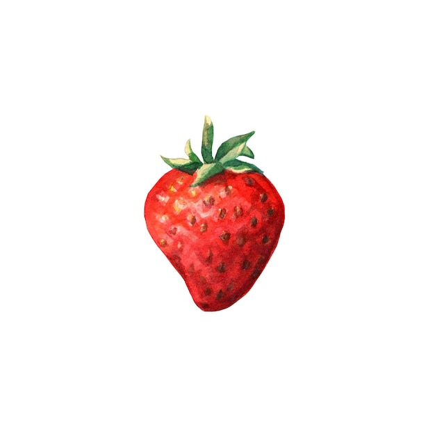 Fragola succosa rossa acquerello illustrazione del cibo disegnato a mano frutti e bacche dolci estivi