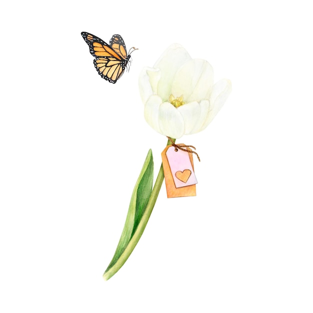 Watercolour white tulip in full blossom with a heart tag and a flying butterfly Tender