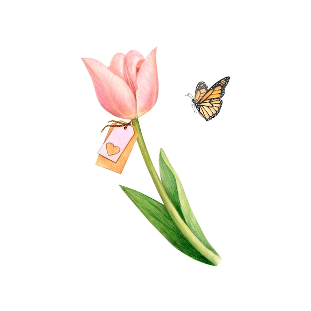 하트 태그와 날아다니는 나비 텐더가 있는 꽃이 만발한 수채색 흰색 튤립