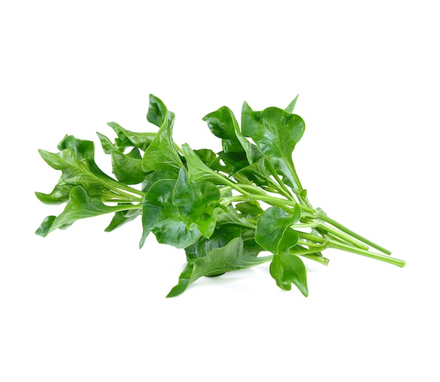 watercress isolated on white background