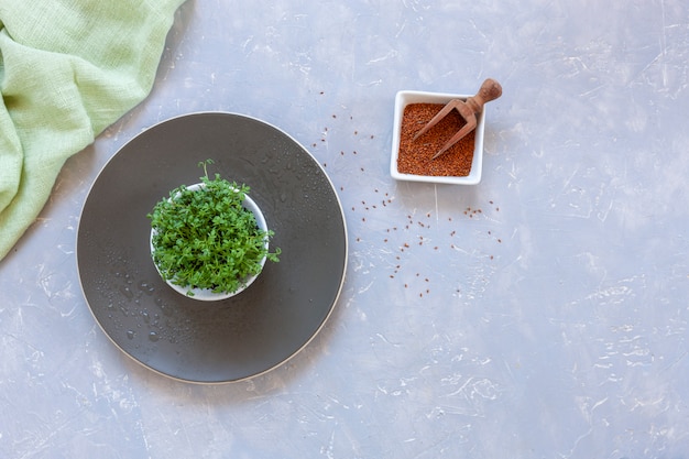 Micro verdi dell'insalata di crescione e dei suoi semi su un piatto.