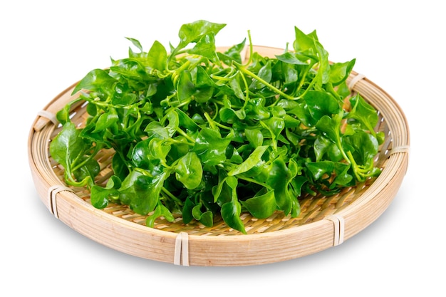 Photo watercress in wooden dish isolated on white background