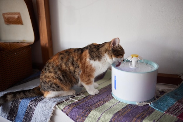 Waterdispenser voor huisdieren met automatische zwaartekrachtvulling