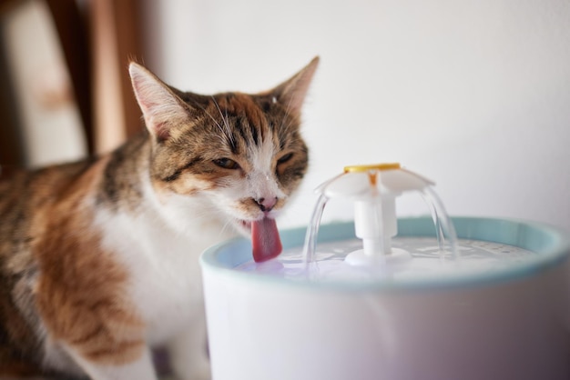 Waterdispenser voor huisdieren met automatische zwaartekrachtvulling