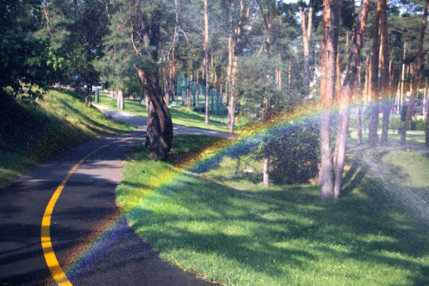 Waterdruppels en regenboogregen in zomerpark