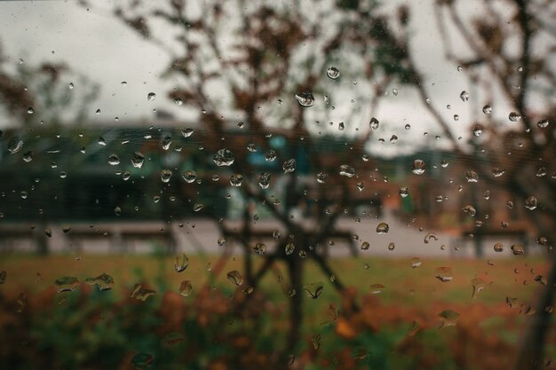 Waterdruppels op het glas Herfst regenweer