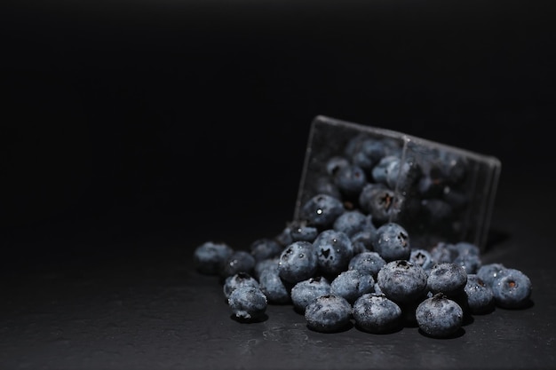 Waterdruppels op rijpe zoete bosbes. Verse bosbessenachtergrond met exemplaarruimte voor uw tekst. Veganistisch en vegetarisch concept. Macrotextuur van bosbessenbessen. Textuurbosbessenbessen close-up