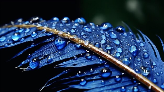 Waterdruppels op veer in blauwe kleuren