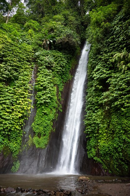 Photo waterfal in tropical forest in bali indonesia