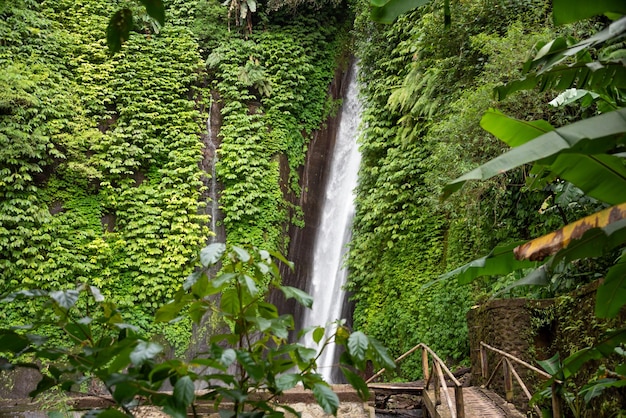 Waterfal in tropical forest in Bali Indonesia