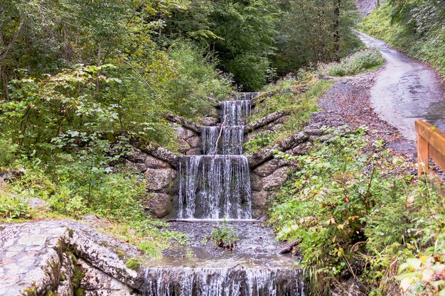 Foto cascata in mezzo agli alberi