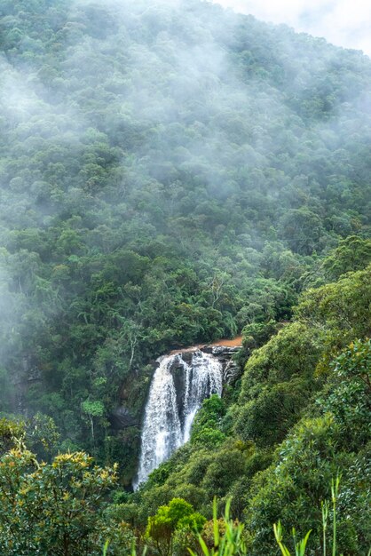 Водопад и тропический лес айуруока минас-жерайс бразилия водопад душ-гарсия