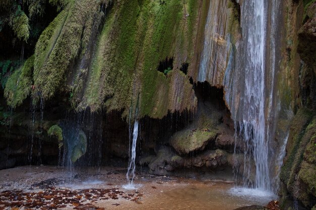 Foto cascata nella foresta d'autunno cascata della foresta d'autunno cascata dell'autunno