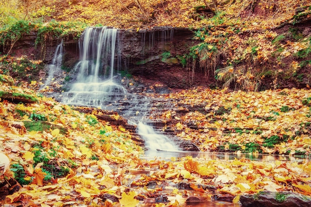 Waterfall in autumn sunlight. Beauty world. Carpathians. Ukraine. Europe