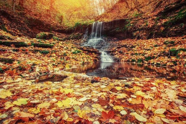 Waterfall in autumn sunlight. Beauty world. Carpathians. Ukraine. Europe