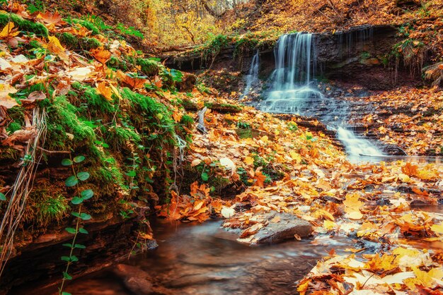 Photo waterfall in autumn sunlight. beauty world. carpathians ukraine europe