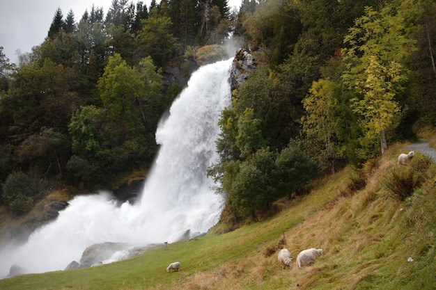 Waterfall in the autumn woods, norway