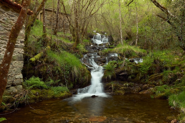 Cascata in una bellissima foresta nella zona della galizia, in spagna.