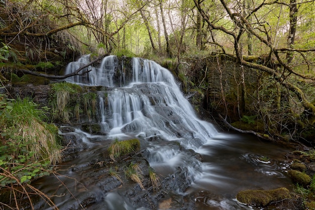 Waterfall in a beautiful forest