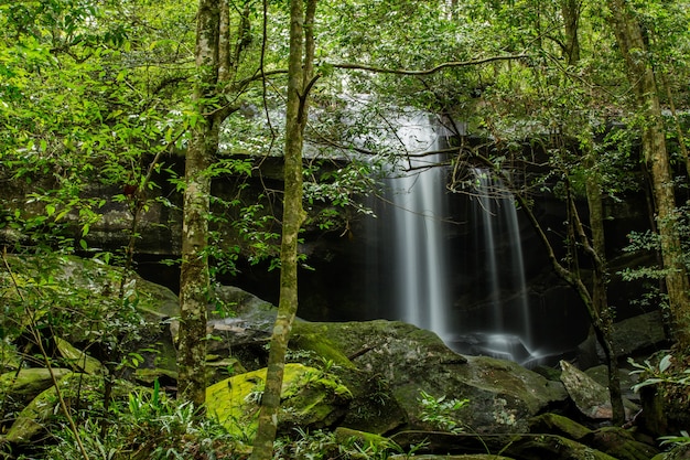 Foto cascata bella a phukradeung tailandia