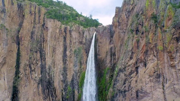 A waterfall in a canyon with a green tree on the left side.