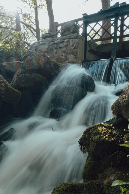 Waterfall cascade in Olivia public park Gdansk Poland River waterfall falls from cliff and trees Long exposure Tourist attraction with small waterfall and clear water