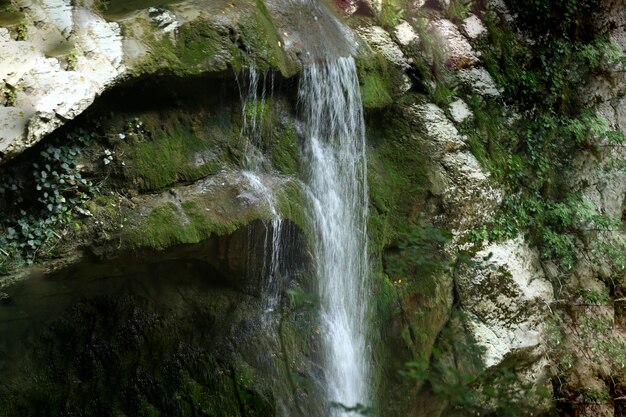 Waterfall in a crevice between the rocks behind the trees Agur waterfalls in Sochi