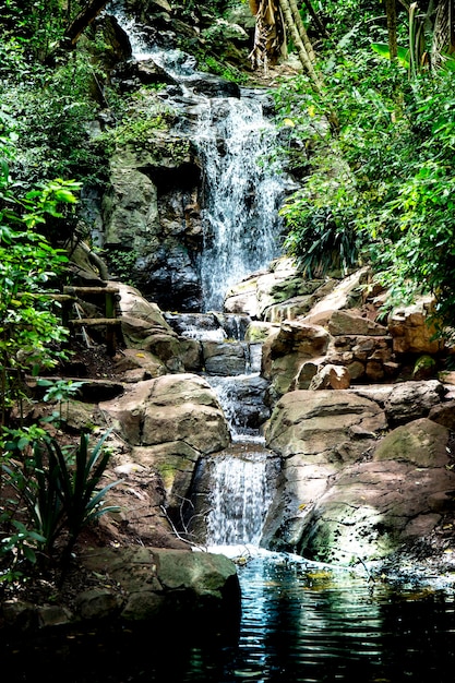 Waterfall in deep forest panorama