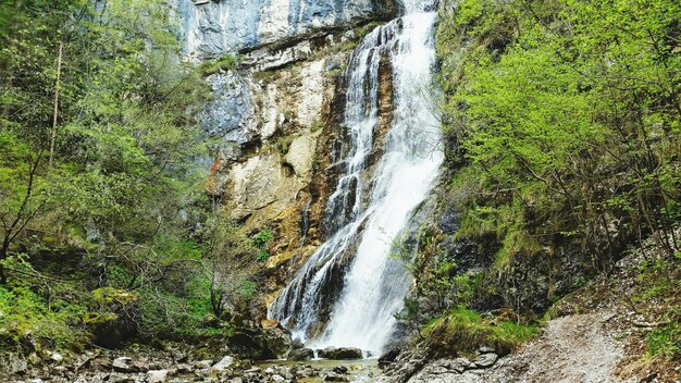 Waterfall falling in forest