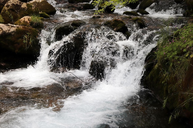 Waterfall flowing through mossy rocks