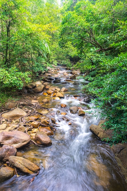 Waterfall flows in the forest