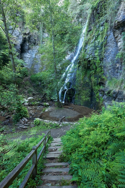 Photo waterfall in a forest in the area of galicia, spain.