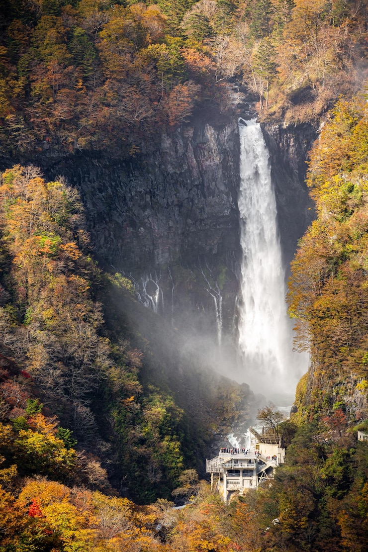 Photo 秋の森の