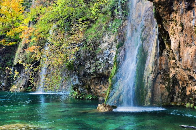 Photo waterfall in forest crystal clear water