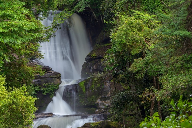 Waterfall in the forest on the mountain.