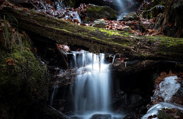 waterfall at forest during winter