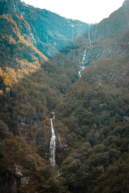 Photo a waterfall in a forest with a forest in the background